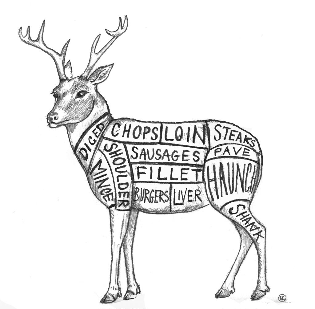 deer - Chart Farm